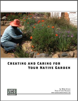 Creating and Caring Cover