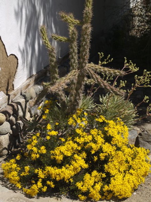 baja snapshot