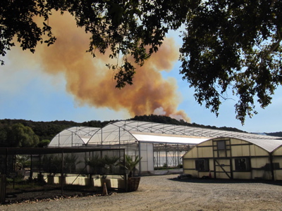 Nov 16th Fire