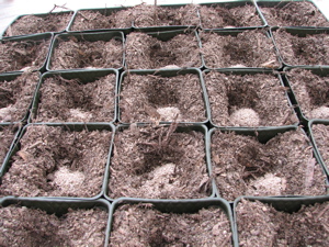 containers_myco_inoculum