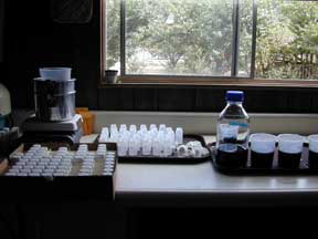 staining materials