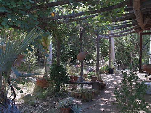 Tree of Life Nursery Patio