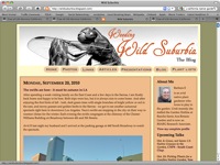 wild suburbia screenshot