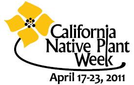 cnpw logo