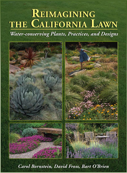 reimagining ca lawn cover