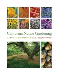 CNG month by month cover
