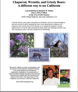 richard halsey flier image