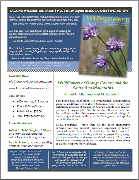 OC wildflower flier