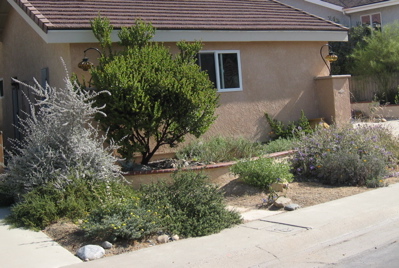 san juan capistrano garden