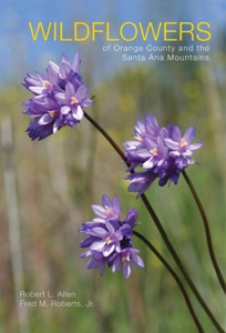 OC wildflowers cover