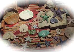 room to fly ceramics