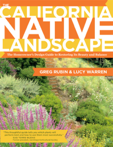 Rubin-Warren-Book-Cover