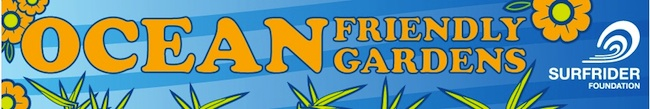 OFG Banner