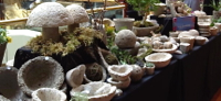 tufa treasures