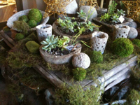 tufa treasures 2