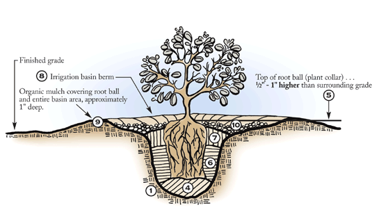 time to plant!