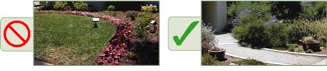Replace Your Lawn