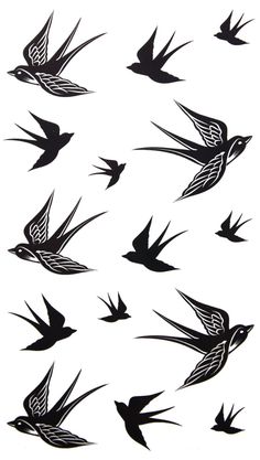 swallows