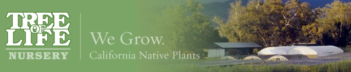 Tree of Life Nursery