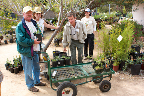 CNPS Volunteers
