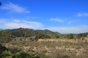 Caspers Park from TOLN