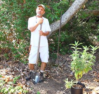Mike planting