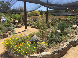 TOLN Garden