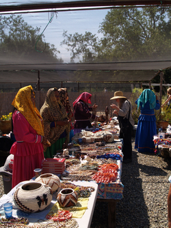 Seri people at Tree of Life